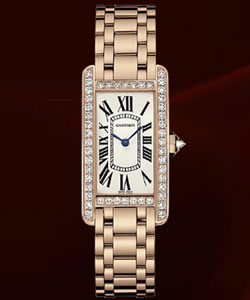 Luxury Cartier Tank Cartier watch WB7079M5 on sale
